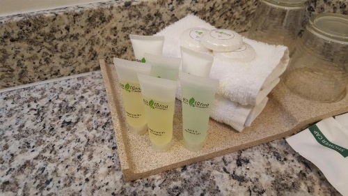 Airport Gateway Hotel image 27